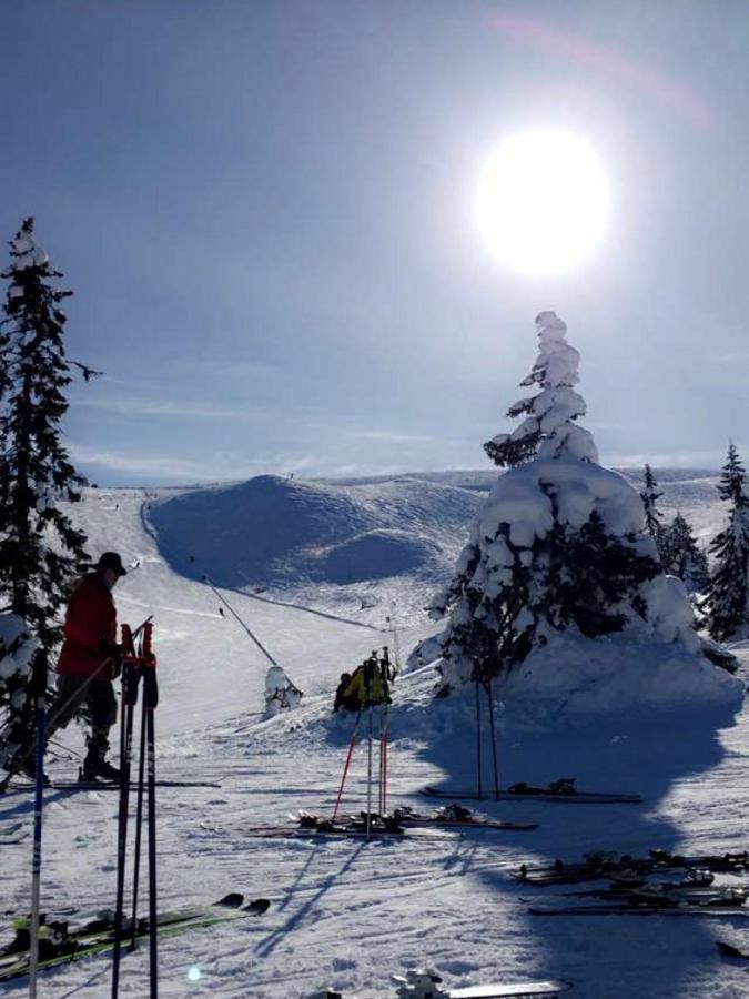 In The Middle Of Trysil Fjellet - Welcome Center - Apartment With 4 Bedrooms And Sauna - By Bike Arena And Ski Lift Zewnętrze zdjęcie