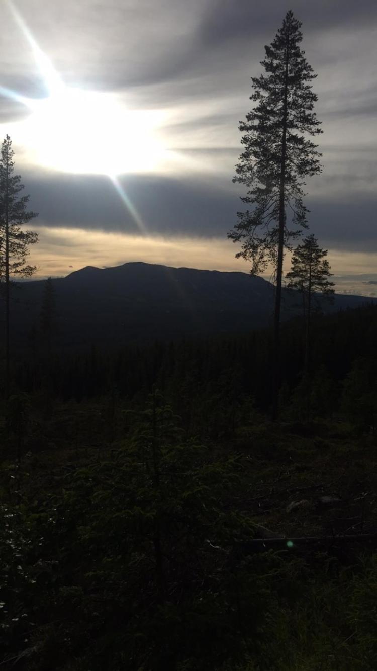 In The Middle Of Trysil Fjellet - Welcome Center - Apartment With 4 Bedrooms And Sauna - By Bike Arena And Ski Lift Zewnętrze zdjęcie