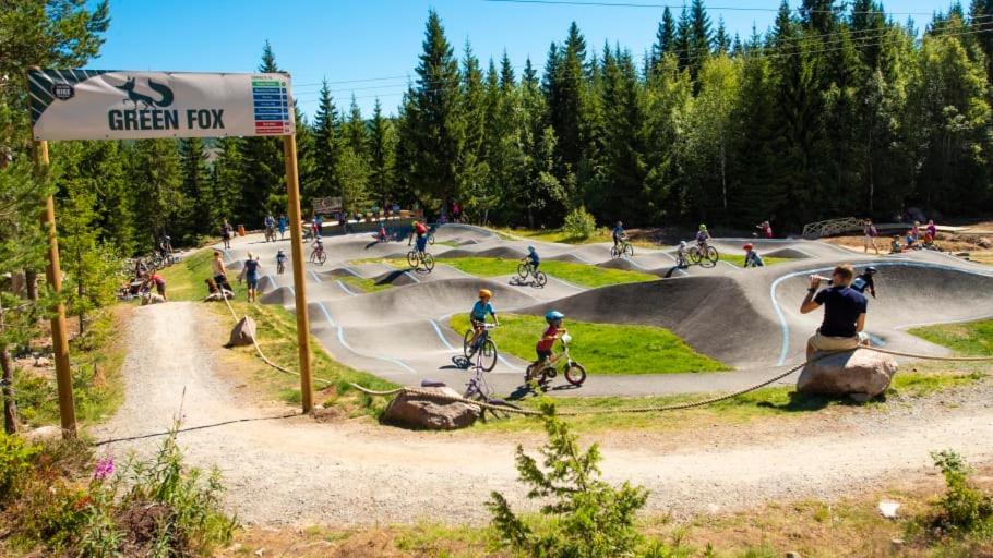 In The Middle Of Trysil Fjellet - Welcome Center - Apartment With 4 Bedrooms And Sauna - By Bike Arena And Ski Lift Zewnętrze zdjęcie